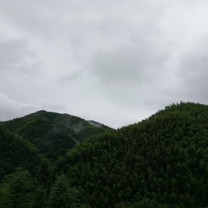 啊哈〜嗯嗯〜用力cao我
